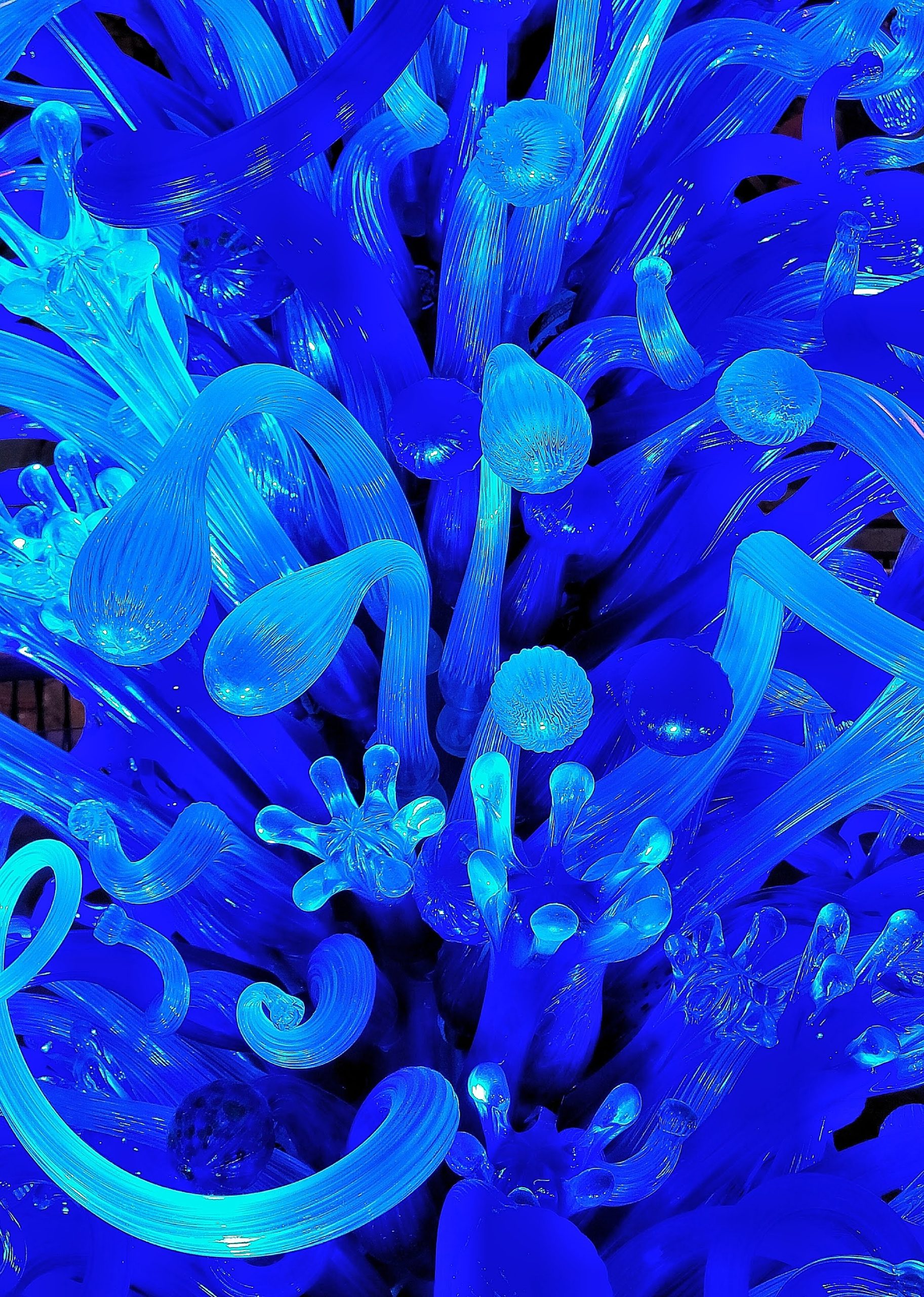 A Digital Consciousness in a Dying World